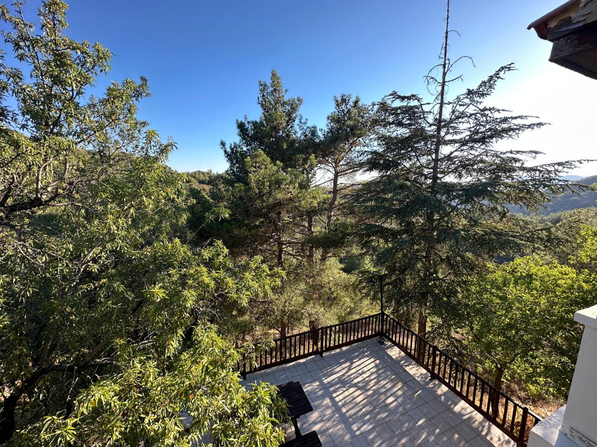 Forest Park Villa Lemithou Exterior foto